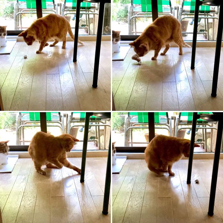 180d499c bf2b 44e6 9a70 fd0b3c8b907b 1537506158025