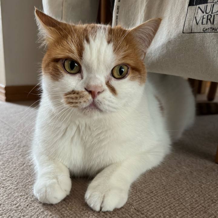 180da01c e85a 43bf 87fc 7650bf154e00 1761186874694