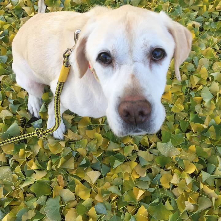 180daa56 c1d0 474c bdba 870ecbf52099 1572861851217