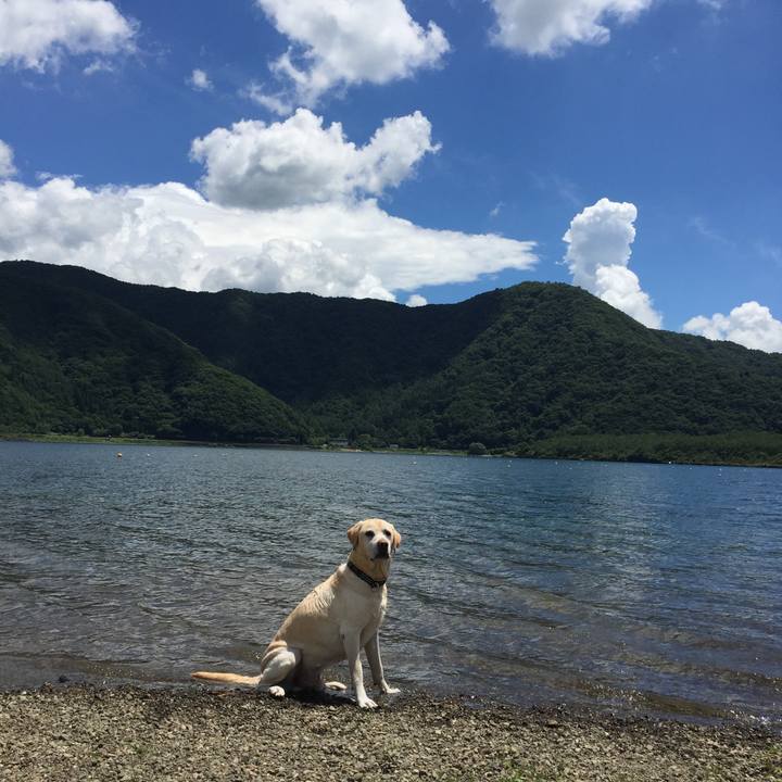 180dc2a1 09a7 4c8b 9b7e f8bb32ddcef6 1531260686629