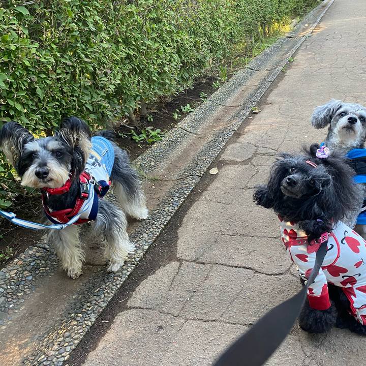 180df52a 482d 44e3 b0d5 4892a04e9f77 1666325034044