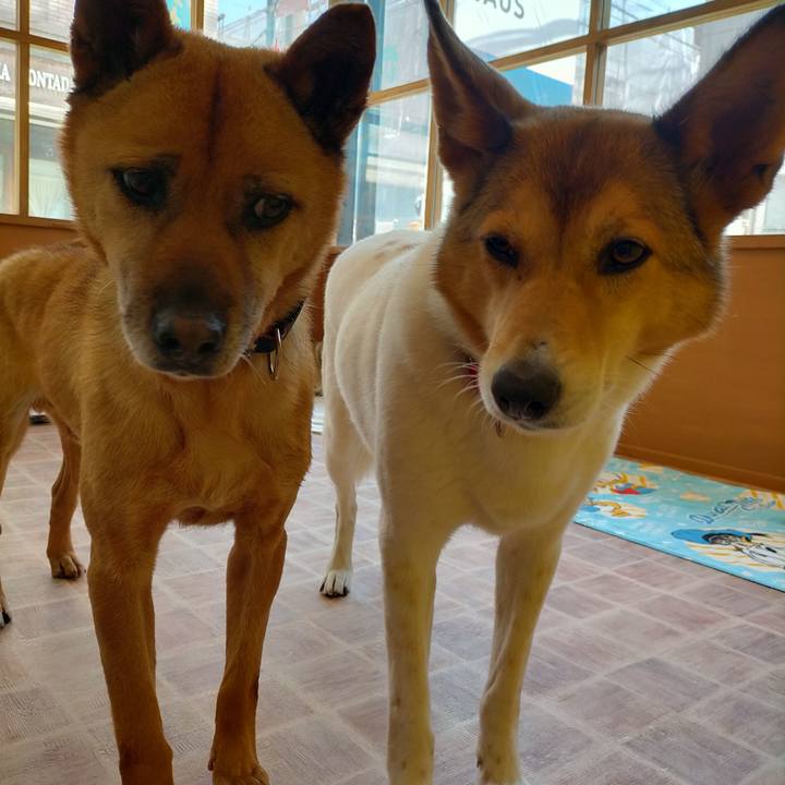 180df88d aa68 4773 abd0 701e0b3ff522 1683789769026