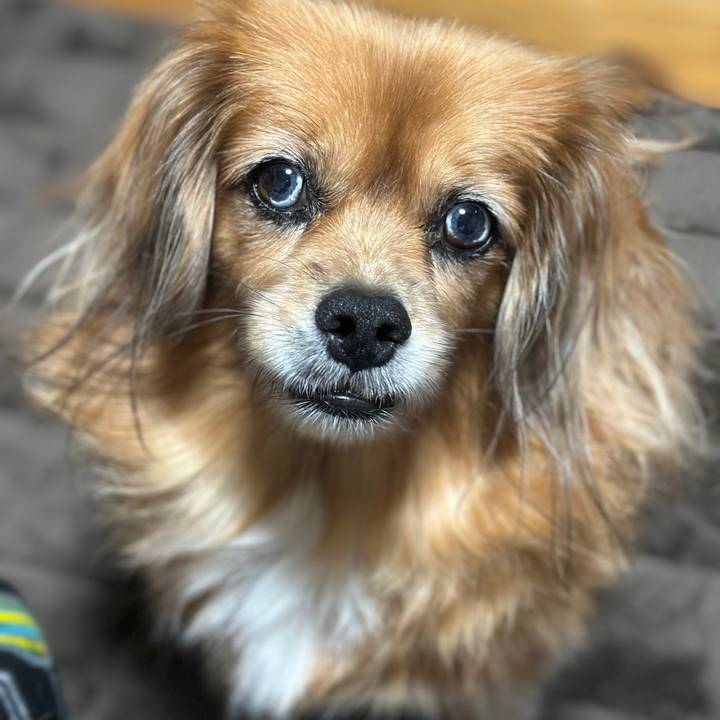 180e3bfa dbab 4bd3 8f07 2d7850dc5e4f 1730754797460