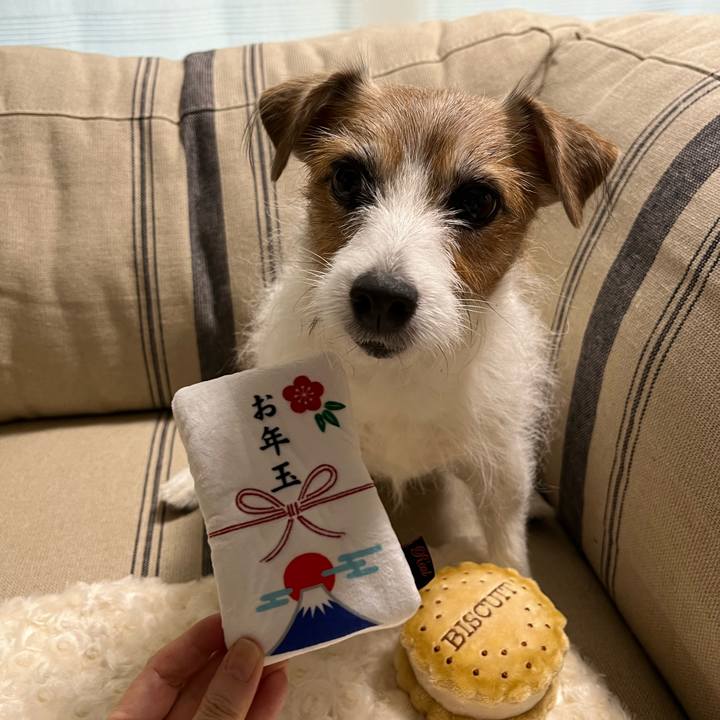 180e4c4b ad04 460e bd35 1fe86d0bf794 1731279795873