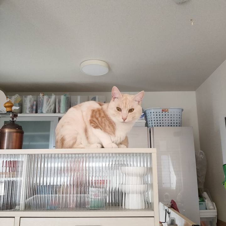 180e8d97 d955 4f6f 862a cc5cf6d4d167 1670372406185