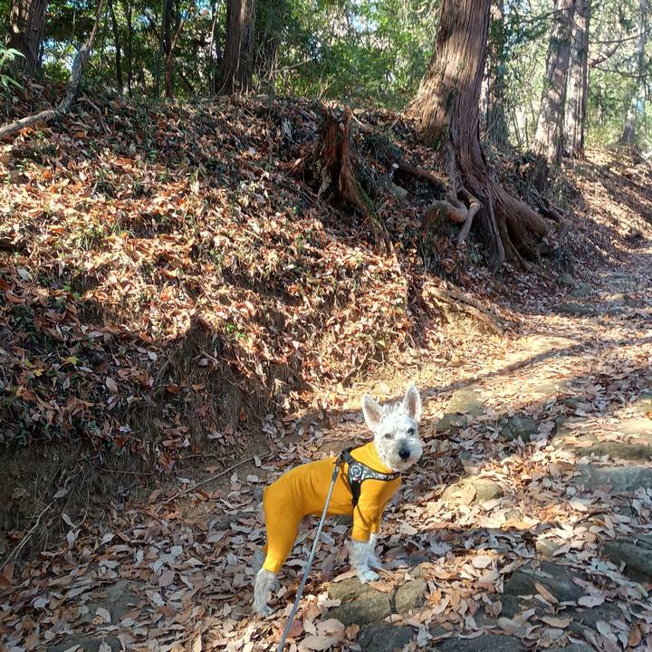 180eb971 e189 48b4 8efb 8d04f9e69adc 1765185125006