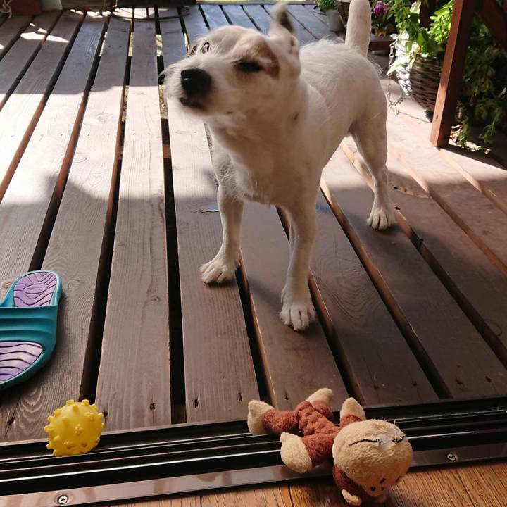 180ed7b3 da21 405d 99fa 1e076bf2a668 1540855094296