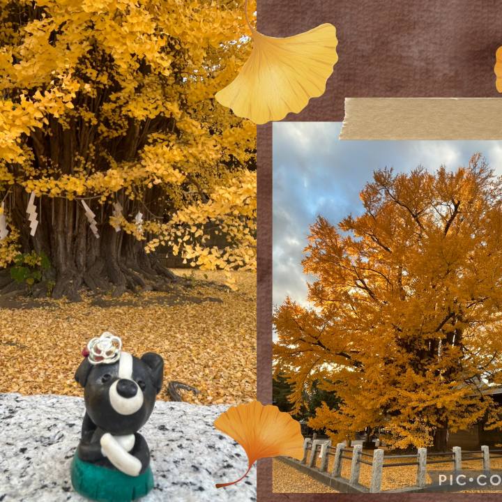 180f2b86 a0ab 45d9 bd76 5e2dbc1dcc32 1765029634153