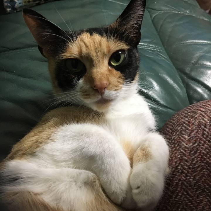 180f4480 f0ff 450e 9dc7 1b97672f9050 1512469045583