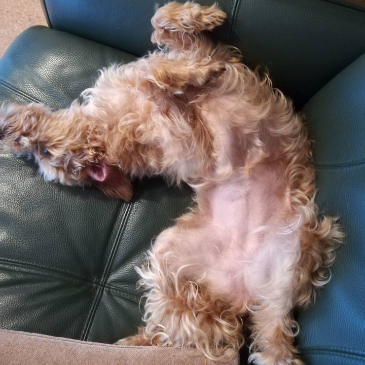 180f6785 8953 4999 b49a add6d75b5ddd 1537742730281