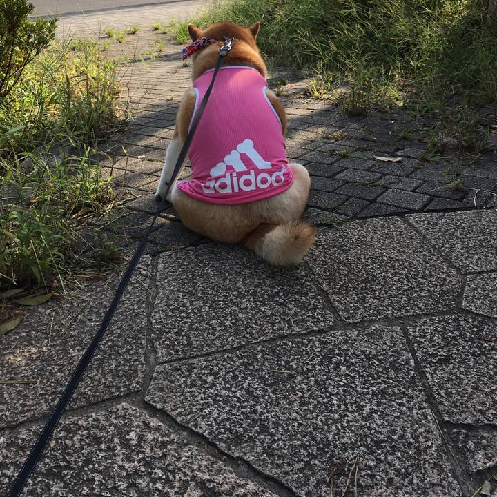 180f7d6c fa8f 4fc5 a439 11dd209cb71b 1568070117932