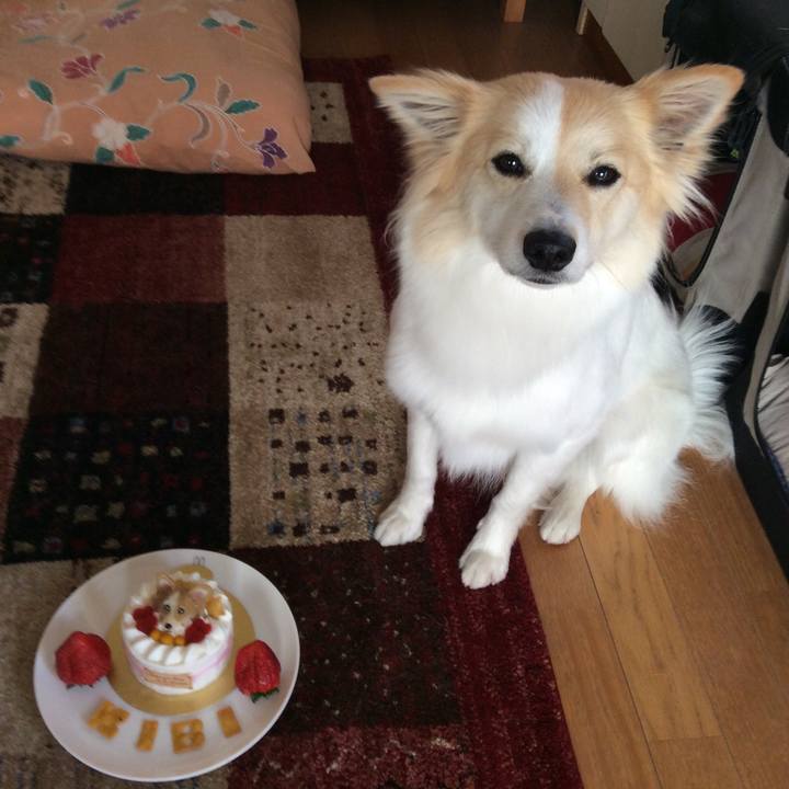 180f9701 5b90 4584 98b0 114666be74bc 1520734884363