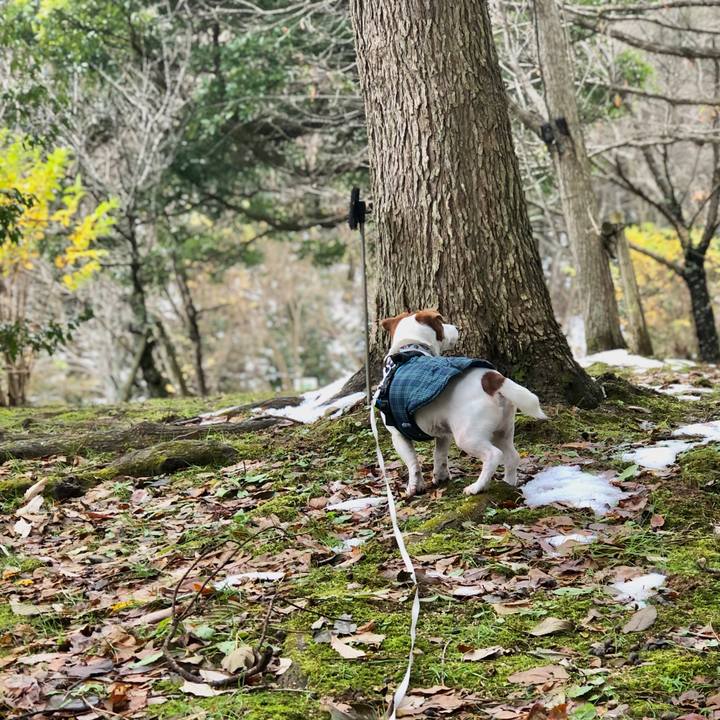 180fb413 e924 4948 8825 db7f203811d8 1702977442709