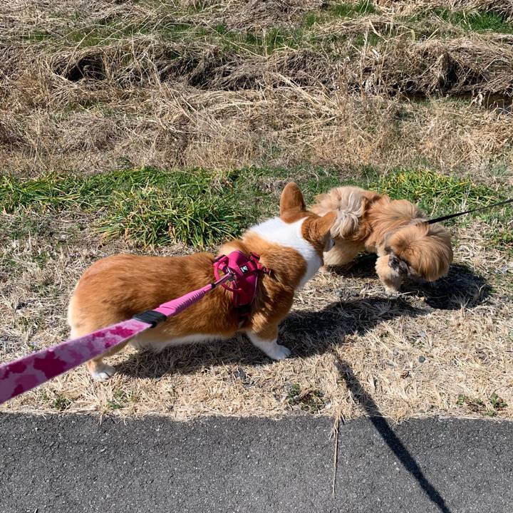 180fd32c 2cbf 4c3f b60e 4dbe858a429a 1678422842276