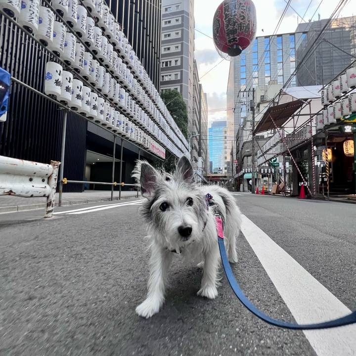 18103084 d4be 46e5 b1c3 a6691b9b97e4 1666184710210