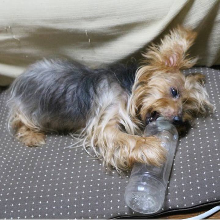 181039d8 ef39 45f8 9902 9aba4daf4e31 1604961855426