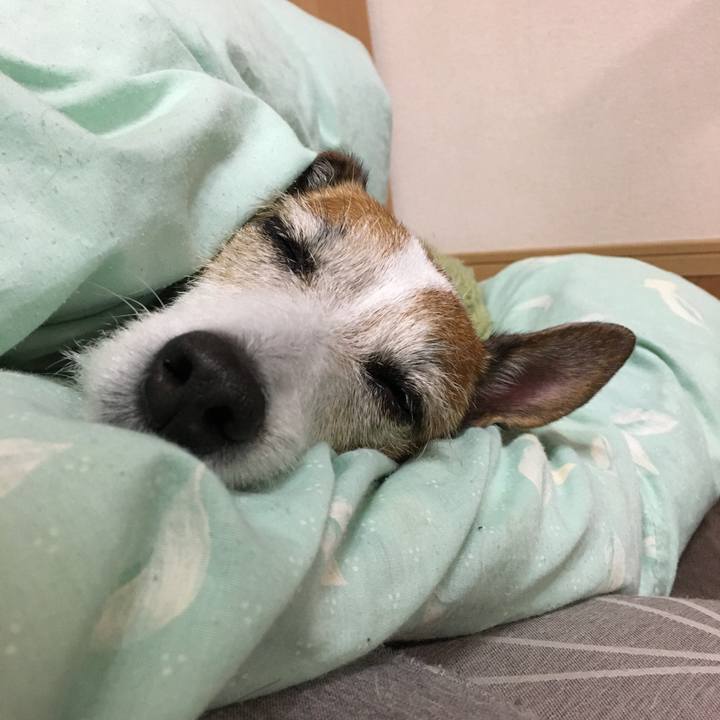 18103a36 b174 4d60 92f8 a2c5b0acaed1 1641425240548