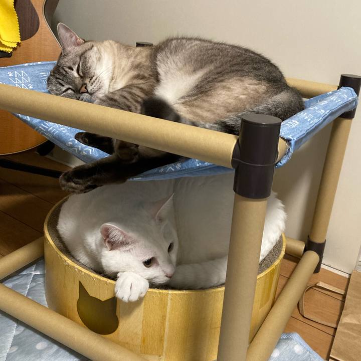 18104039 5860 4b9d a4cc 79aae91f2177 1692021076398