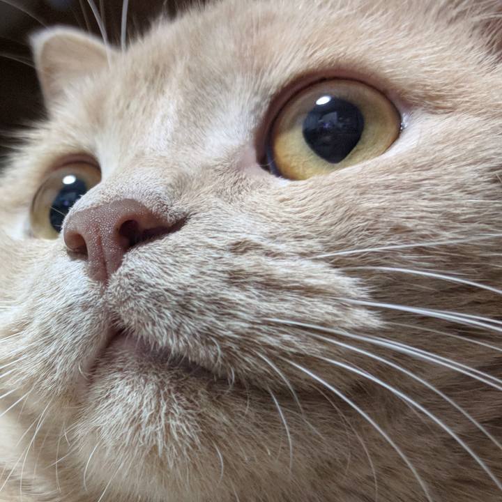 18106f6d f029 48b2 a0d3 aaa9b2cdacf9 1561806219779