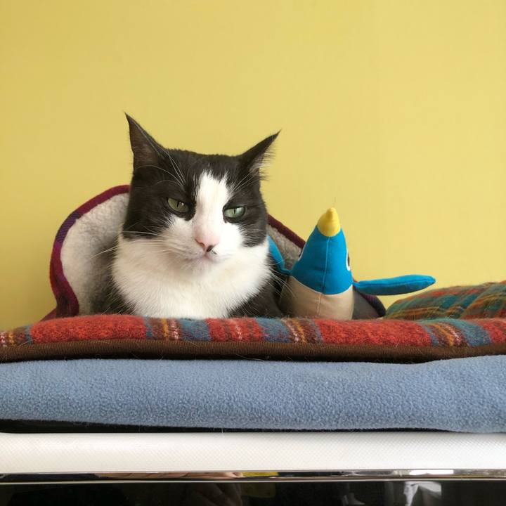 18107a2e 3f0d 4fdd a951 ac98eb6a9d0d 1586584167426