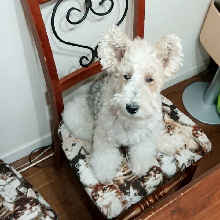 1810d8d7 56bd 418c aa83 efc6eb43bc0f 1527428271724