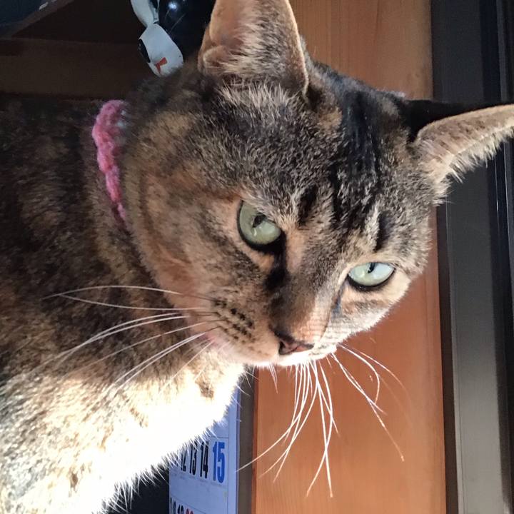 1810df63 0b0f 4998 8aff 1b5d08d2c7ca 1742900334516