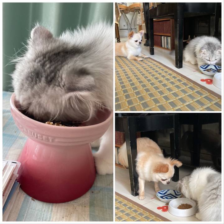 181147e9 437c 4f6c 9aae 7b05302c277d 1599283707091