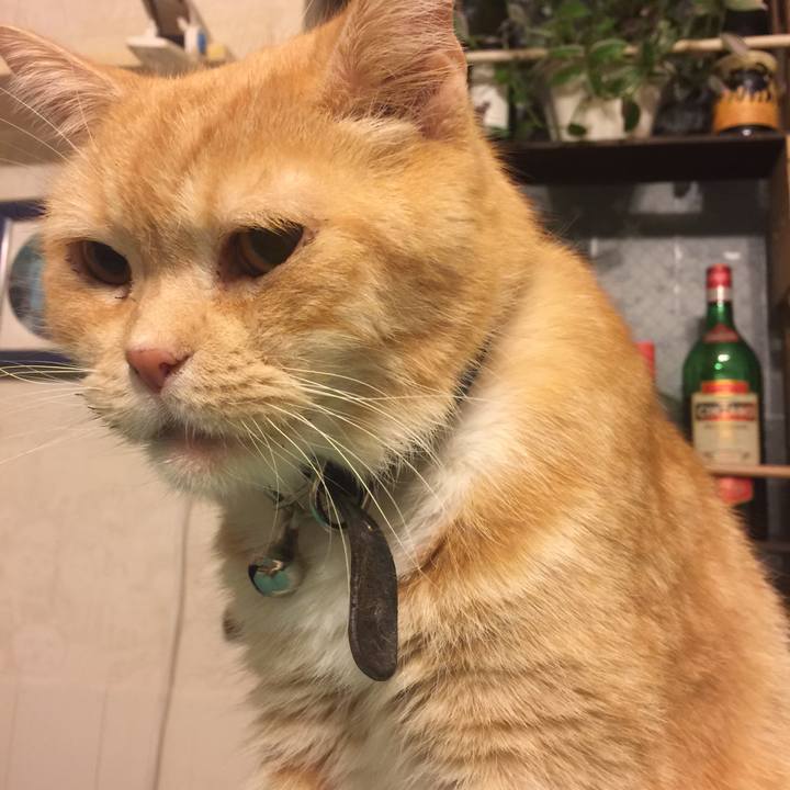 18114c6f a09f 4f4c b856 a966c34f47e7 1550999561079