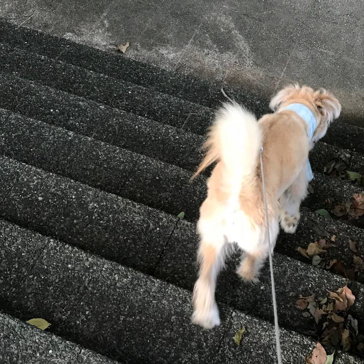 181153e7 4600 413b 8f4f c7294448856a 1531212825082