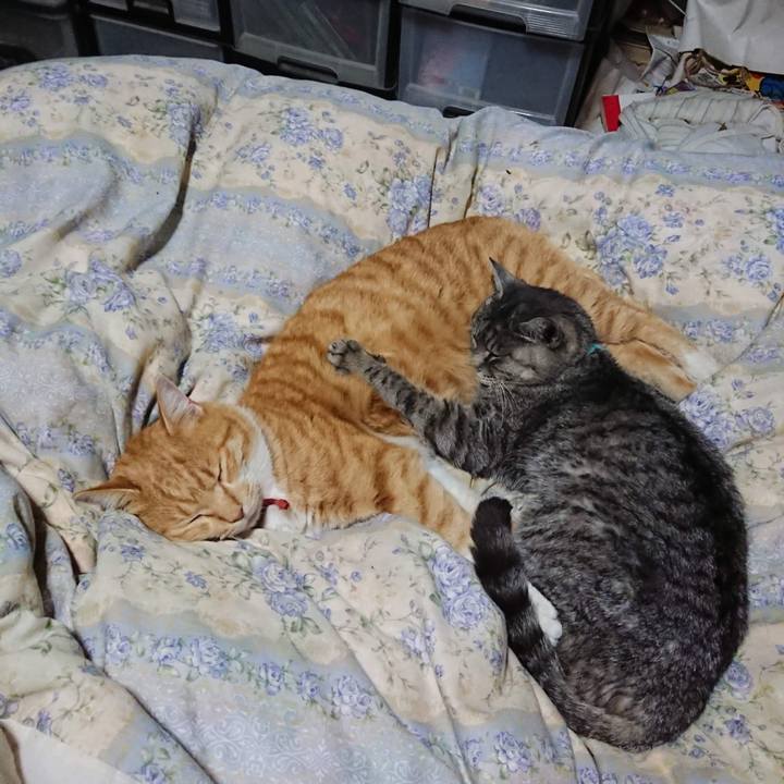 181177ce 2ad1 4df2 a838 d3c2ae5c3b13 1607944820414