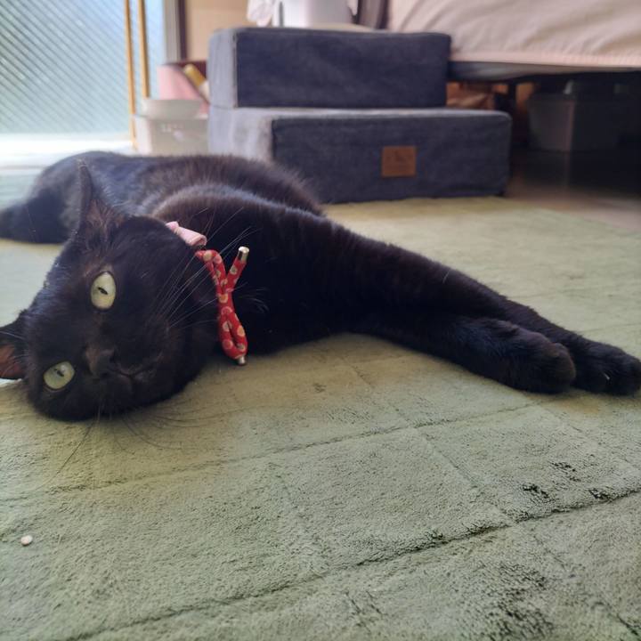 18118793 0b77 4a58 8b3d afc042e52509 1663980818525