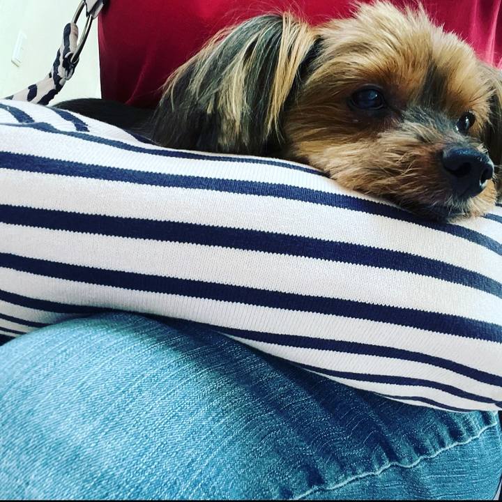 1811a87a 3b78 49fe b334 7730ca84cf0f 1663333564856