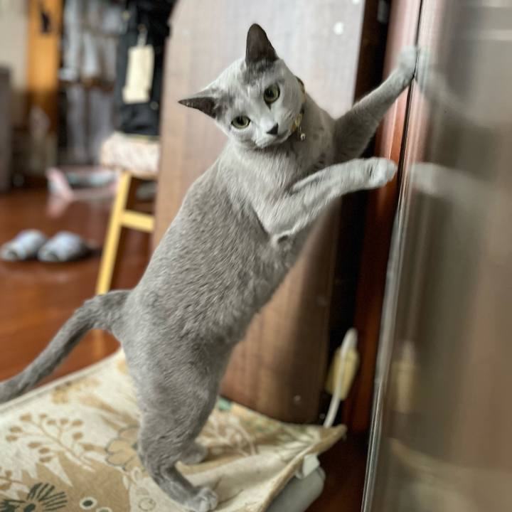 1811d67e 266c 45da 8595 706ca350c4b7 1637751124590