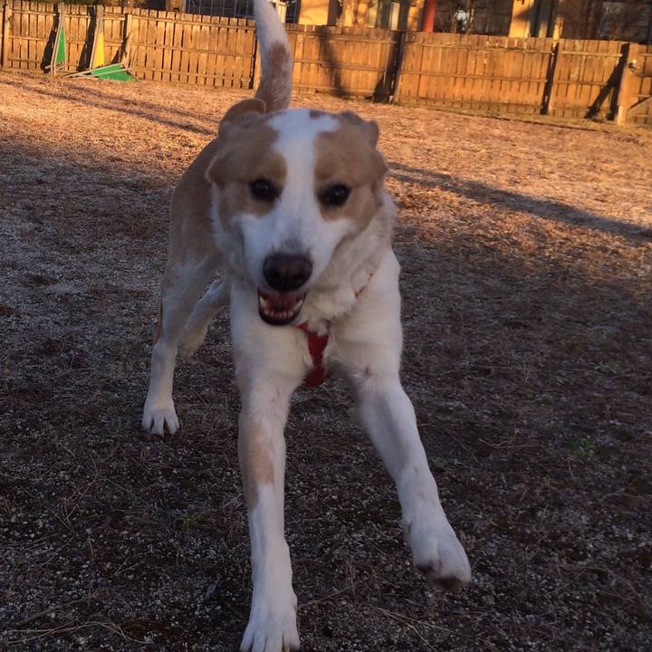 1811e646 8c69 42a0 947b fe077ce3959e 1515675579983