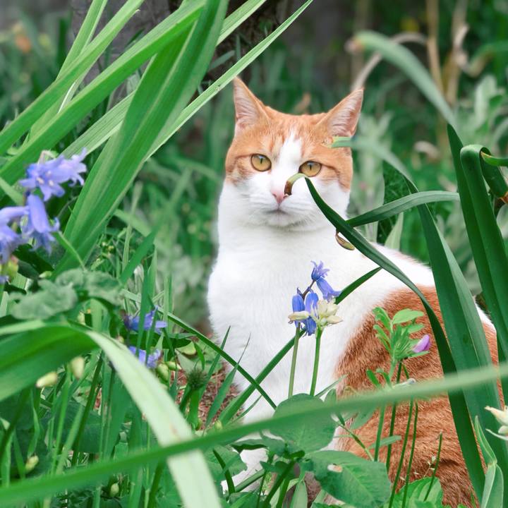 1811f629 65cd 4777 8ad7 98a381c2075e 1525585585375