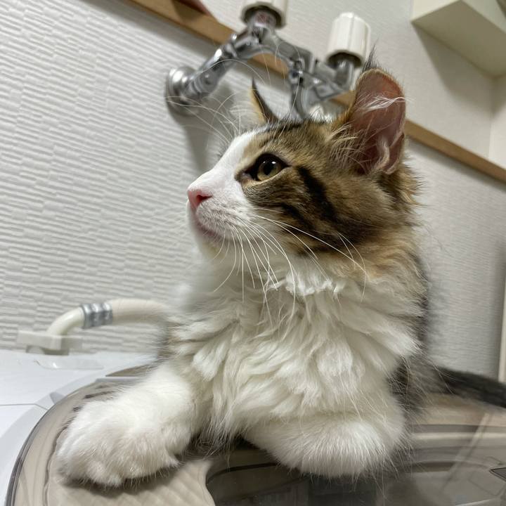 1811ffea f14b 4657 bc35 b89cabfbe948 1633467522865