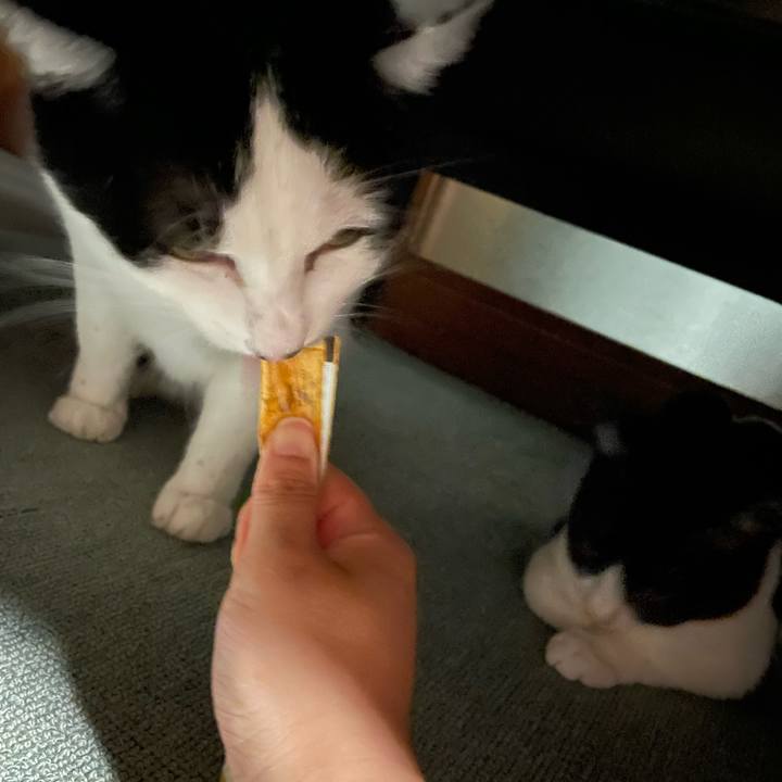 18120c9b d7ad 4c62 9077 a0129def8843 1682079155154