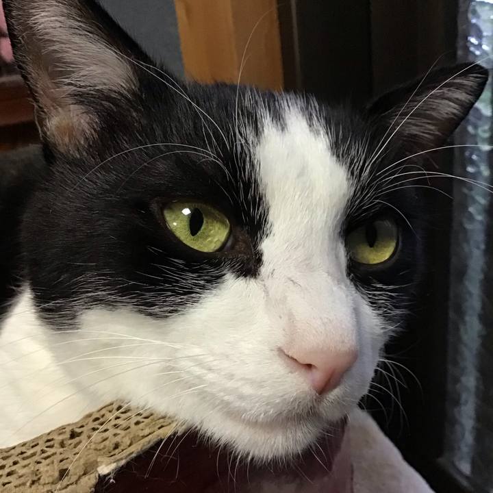 181244fb fb77 478e a6f7 a10c4dc7a9e3 1759739039118