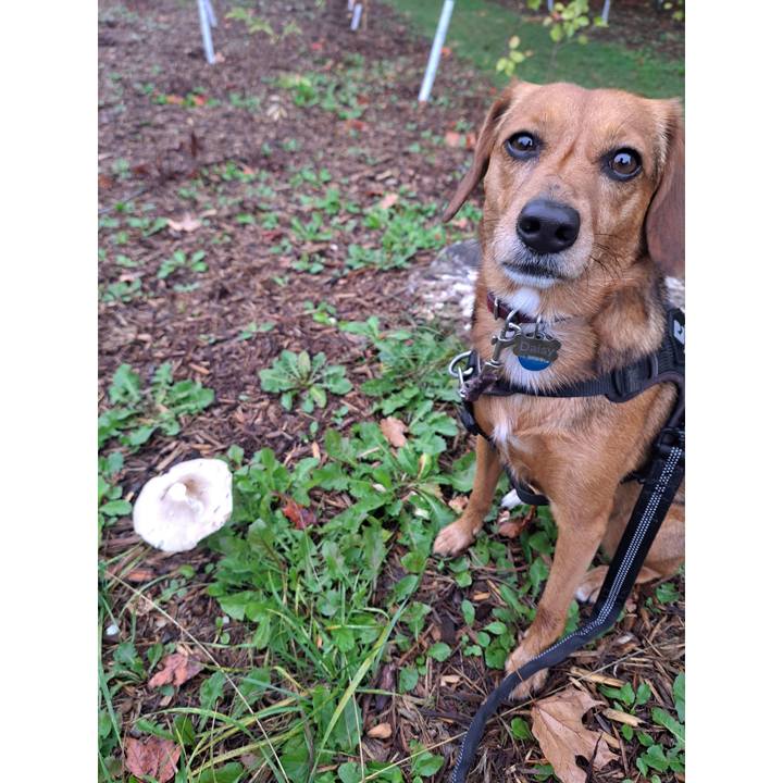 18129b8f 2ef3 419b 88e8 82db21aaf86e 1758720146985