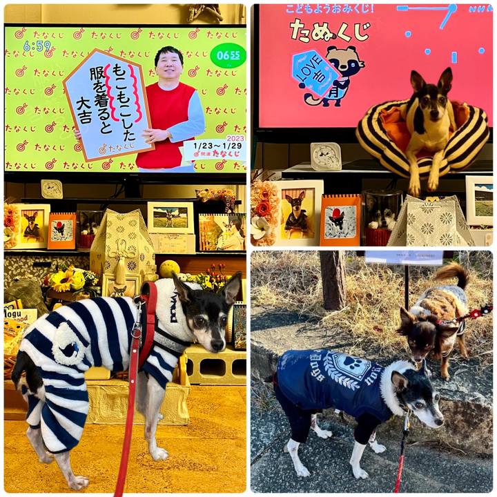 1812a93d 5d18 47c4 848d db331c6083d2 1674425908626