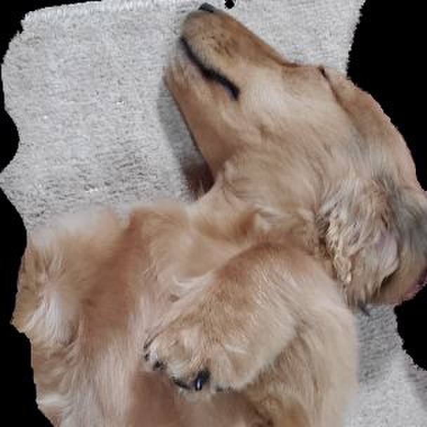 1812b38a 00f1 46ff a14a 8605481d696c 1771468818375