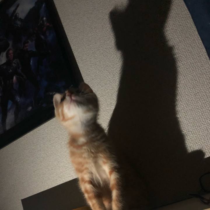 1812f9e0 cfe4 4ebe a7f9 ea14af4bc985 1563859846543