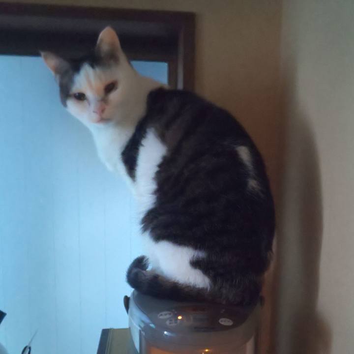 18132e8a 6503 4fcf a320 58e0d17b2930 1705195217657