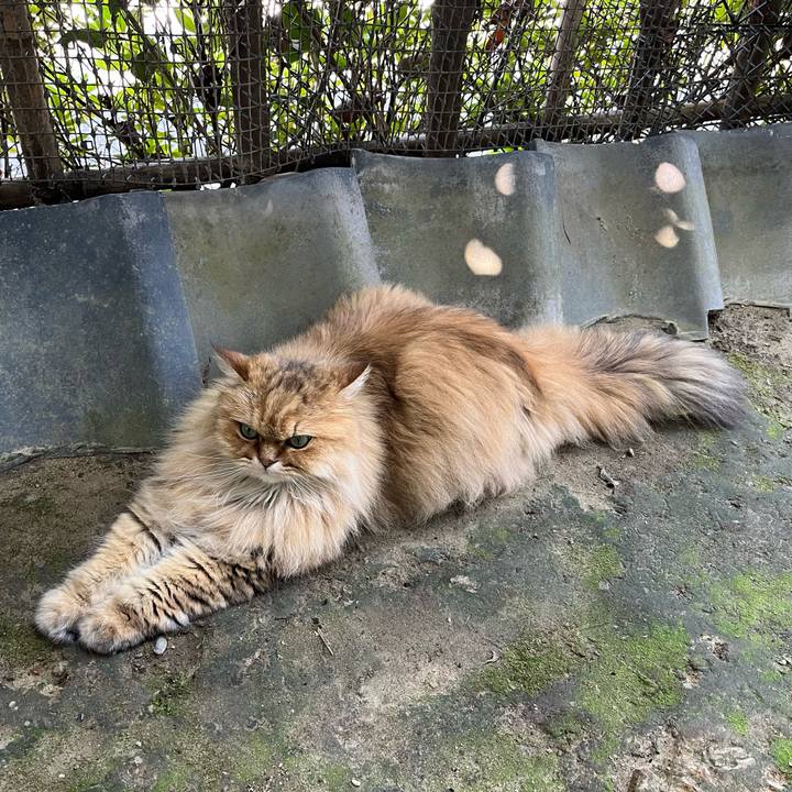 181381c7 2daa 4ab3 9daa 82af226a02ff 1722736783829