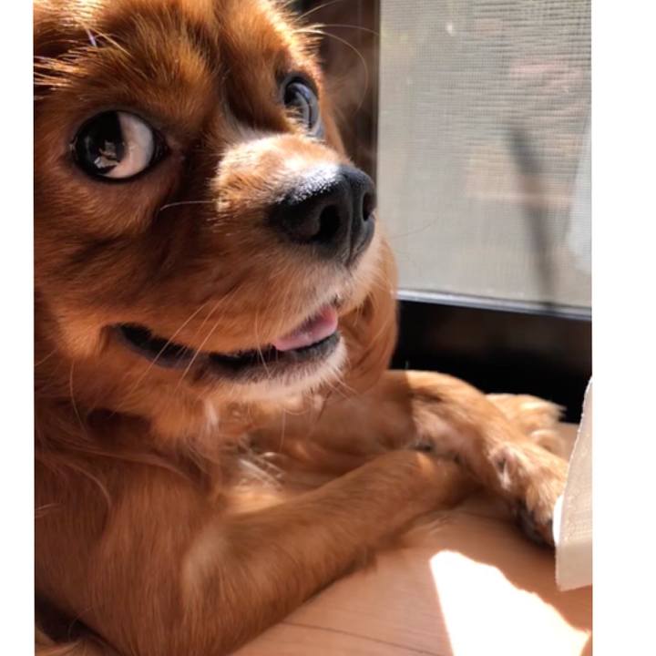 18138b25 ae61 4c09 8ff8 c9892ed8a456 1567913590705