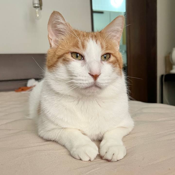 18139227 bfde 442f 9c1d 71ba7d519e47 1761972270689