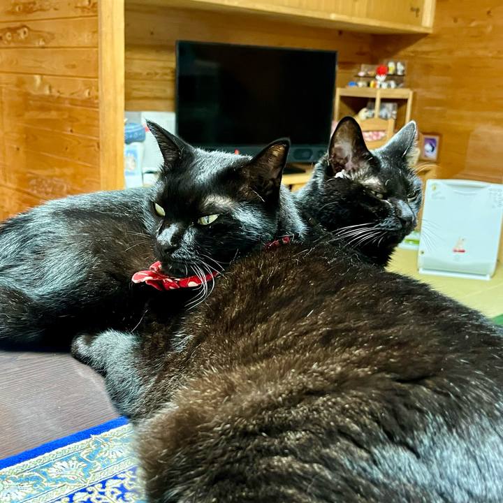 18139873 b725 4afa a41d a8059520d1e3 1689586164666