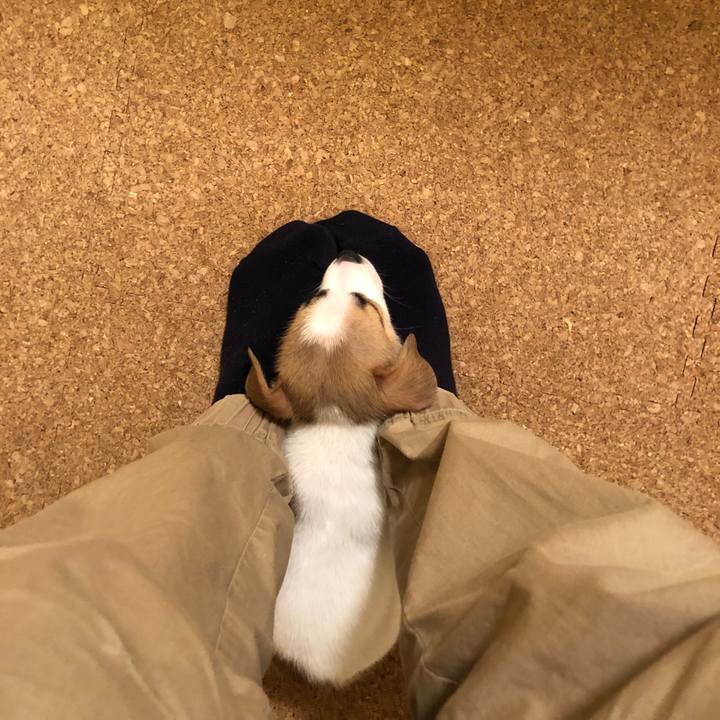 1813b1ee 0161 4802 b011 e503cd06f304 1543672786824