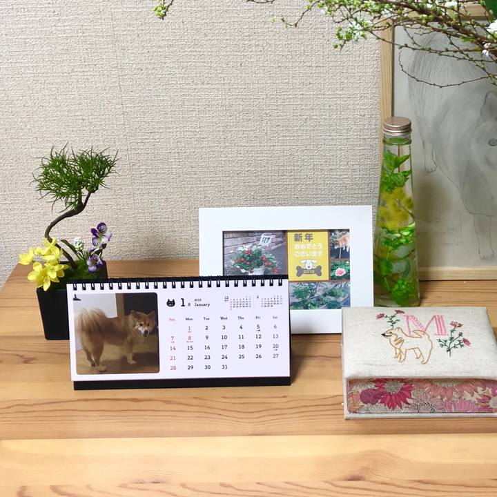 1813d736 a65c 4b0c a963 3eb1e3758eb4 1515237320511