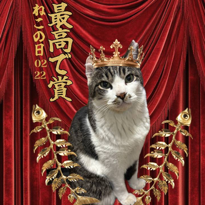 1813e3e0 06e2 4e95 b674 fc3be7228588 1771728384102